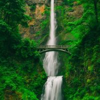 Tall waterfall with bridge above Tall waterfall and bridge in green forest
