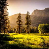 Sunlit meadow with trees and mountains Sunlit meadow with forest and mountains